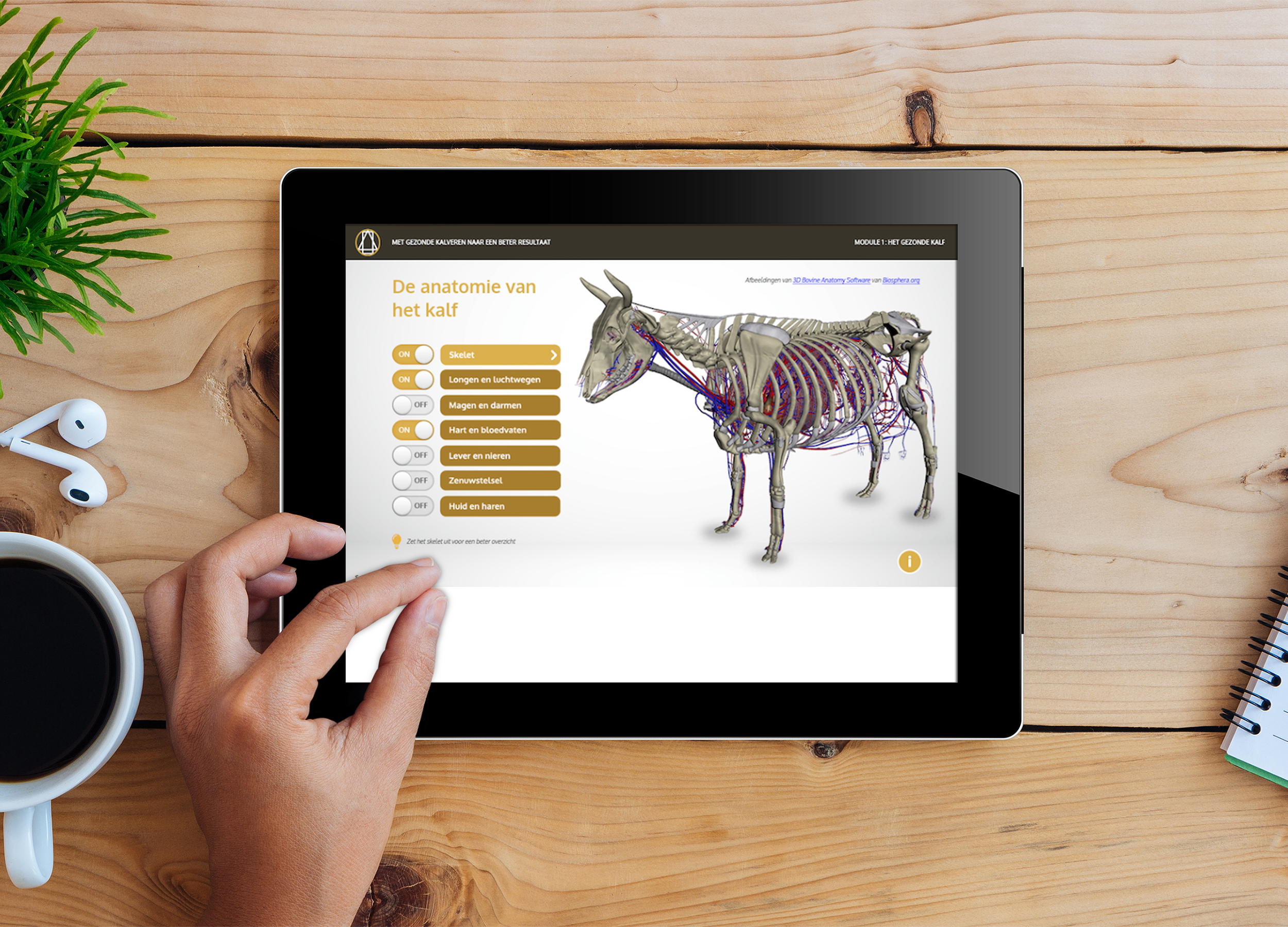 E-learning kalverengezondheid | Eveal