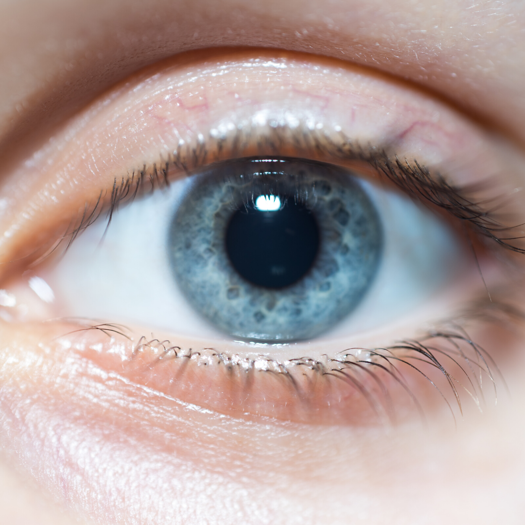 GLOET methode kalveren | Eveal