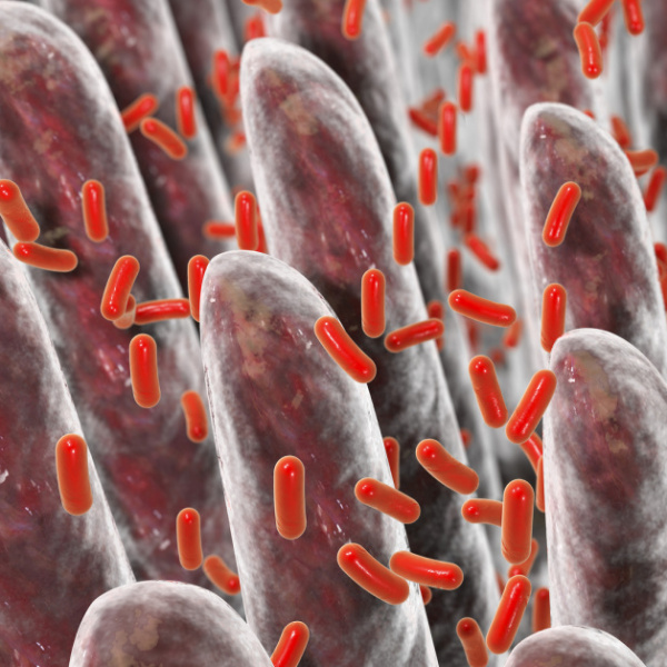 spijsverteringsstelsel, verteringsproblemen en buikvlies | Eveal